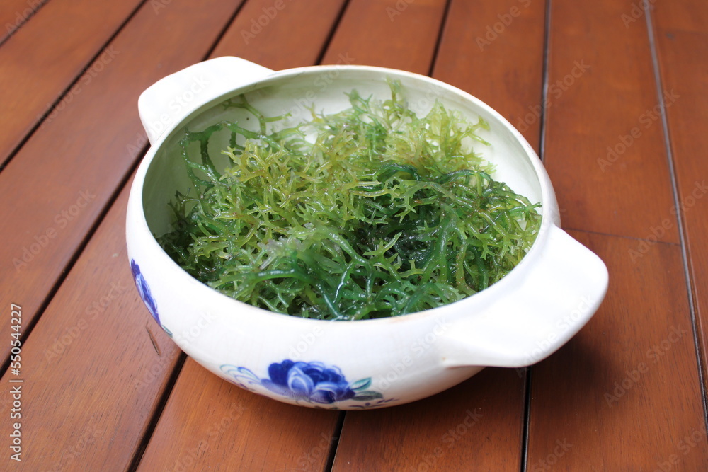 Seaweed (Eucheuma cottonii) in a white bowl with blue floral pattern and wood background. Usually used to make Indonesian traditional snack dodol. Seaweed (Eucheuma cottonii) in a white bowl with blue floral pattern and wood background. Usually used to make Indonesian traditional snack dodol.