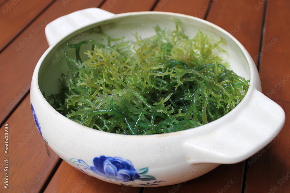 Seaweed (Eucheuma cottonii) in a white bowl with blue floral pattern and wood background. Usually used to make Indonesian traditional snack dodol. Seaweed (Eucheuma cottonii) in a white bowl with blue floral pattern and wood background. Usually used to make Indonesian traditional snack dodol.