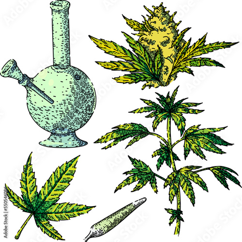cannabis marijuana set hand drawn vector. plant hemp, weed nedical, farm leaf grow, cbd green oil cannabis marijuana sketch. isolated color illustration