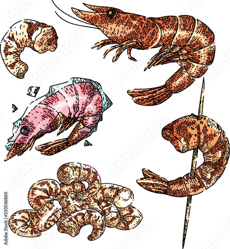 shrimp fish seafood set hand drawn vector. pawn, fresh red, cooked food, shelfish pink shrimp fish seafood shrimp fish seafood sketch. isolated color illustration