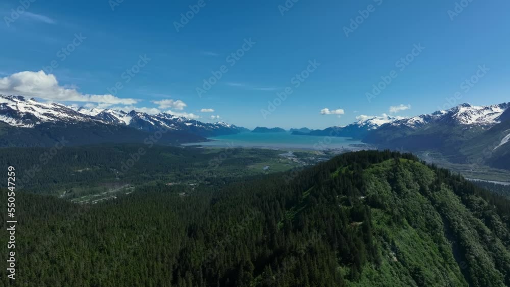 Panorama Of Lush Green Forest, Snowy Mountains, And Lake At Daytime In Alaska, USA. - aerial Panorama Of Lush Green Forest, Snowy Mountains, And Lake At Daytime In Alaska, USA. - aerial