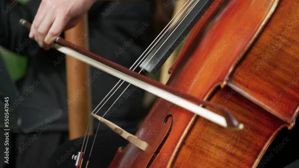 Close up shot of women hand on the violin. Violin player hands. Violinist playing violin close up
Close up shot of women hand on the violin. Violin player hands. Violinist playing violin close up