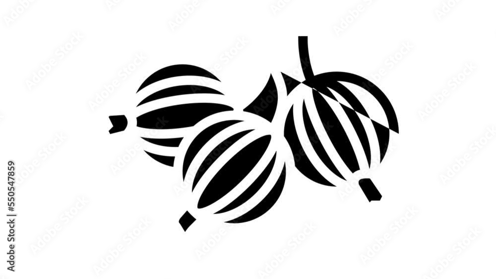 gooseberry juicy berry line icon animation gooseberry juicy berry line icon animation