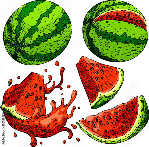 watermelon slice set hand drawn vector. melon fruit, summer red, food green, fresh juicy, water piece, cut juice watermelon slice sketch. isolated color illustration