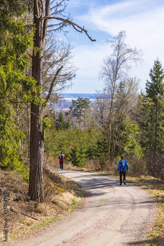 Winding dirt road in the forest with walking persons