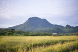 Panorama, Panorama of Rural Landscapes in Indonesia. Village