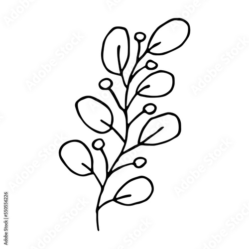 Hand drawn branch with berries and leaves. Christmas doodle. Winter clipart. Single design element