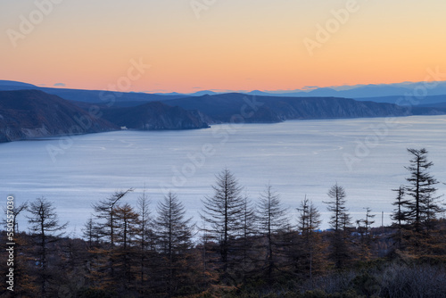 Morning landscape. View of the larch forest on the coast of the sea bay. Autumn season. Beautiful nature of Siberia and the Russian Far East. Travel, tourism and hiking in the Magadan region. Russia.