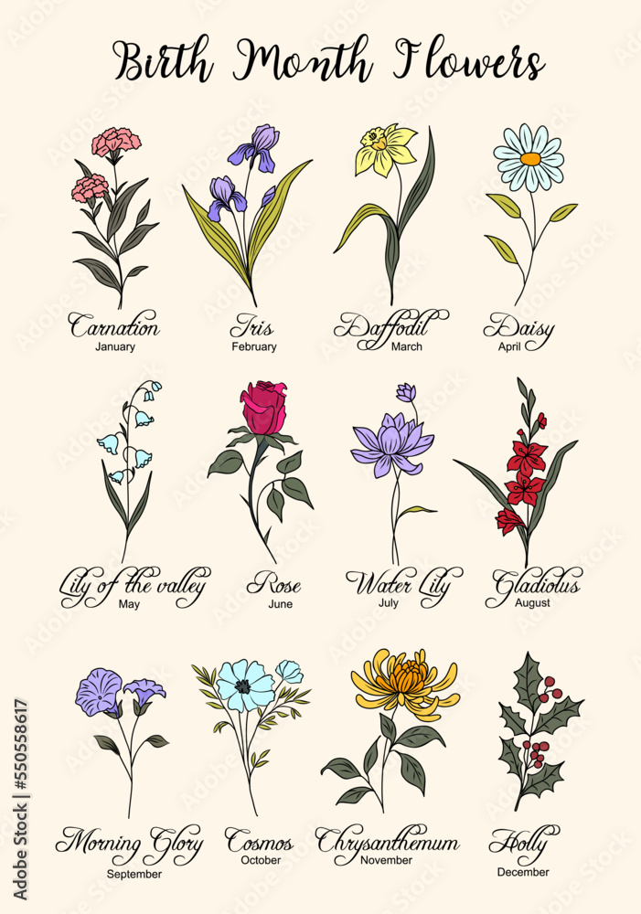 What is My Birth Flower  Birth Month Flowers  The Old Farmers Almanac