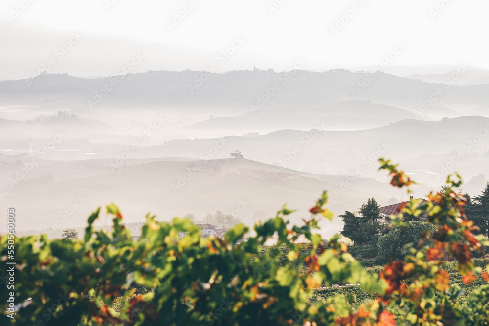 Langhe of Piedmont landscape in autumn