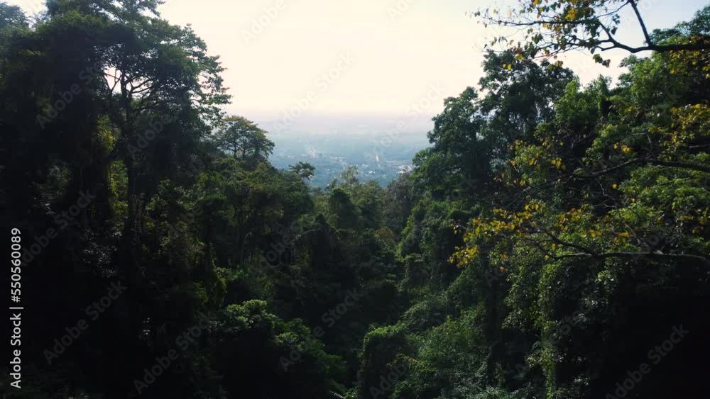 A majestic view above the green treetops in the Vietnamese jungle A majestic view above the green treetops in the Vietnamese jungle