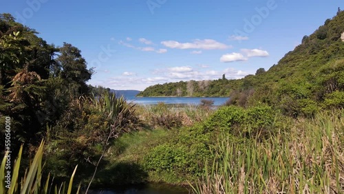 Slow dolly-in from within the bushy lake shore out onto blue water photo