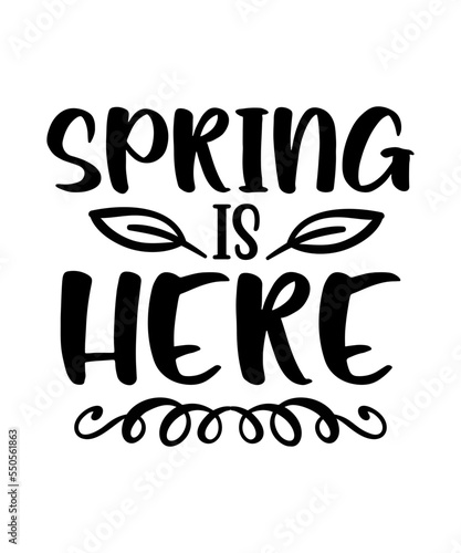 Spring svg bundle Spring svg Spring bundle png Cut File Cricut Cameo Silhouette Hello spring svg Spring quote svg christian svg Easter svg