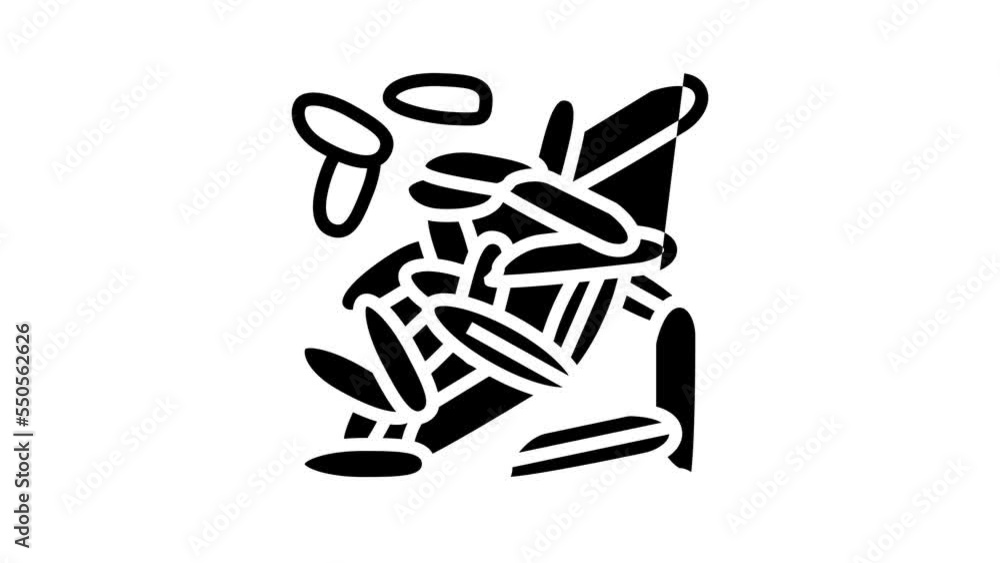 rice seed line icon animation rice seed line icon animation