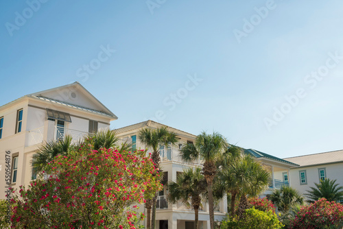 Destin, Florida- Tropical and flowering plants at the front of three-storey houses