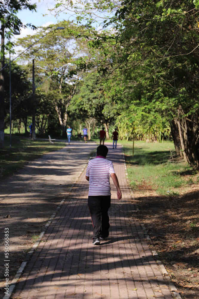 Elderly man walks alone on walking path in park on sunny day Elderly man walks alone on walking path in park on sunny day
