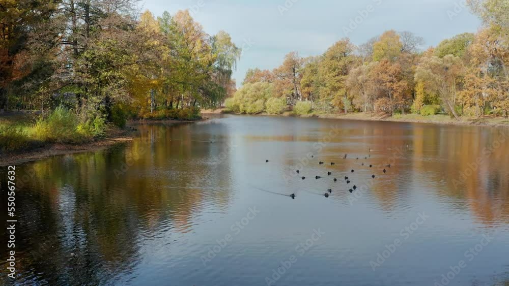 St. Petersburg, Central Park on the Elagin Island in autumn. Aerial view. St. Petersburg, Central Park on the Elagin Island in autumn. Aerial view.