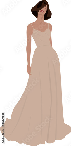 girl in a dress, vector illustration isolated white background