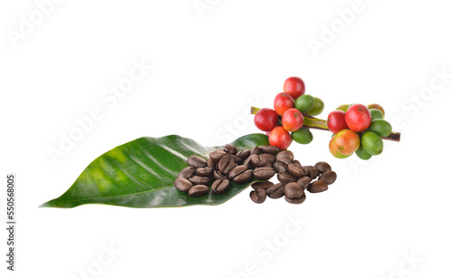 Fototapeta Naklejka Na Ścianę i Meble -  coffee beans  on  transparent png