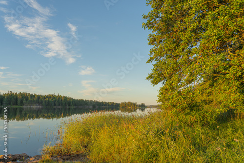 The shore of the lake illuminated by the setting sun. The beauty of nature. Natural background.
