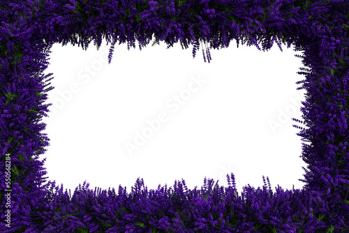 Green leaves and lavender border isolated on transparent background - 3D Illustration