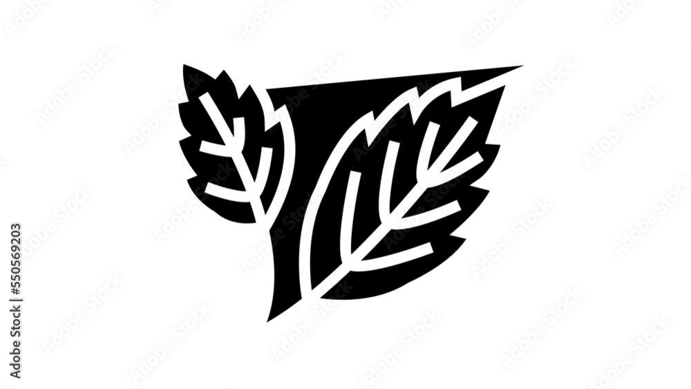 autumn leaf line icon animation autumn leaf line icon animation