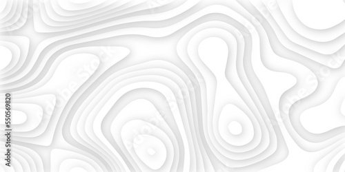 Abstract white 3d papercut topography relief. Abstract papercut and multi layer cutout geometric pattern on vector, Abstract soft white background with waves, textured Papercut.