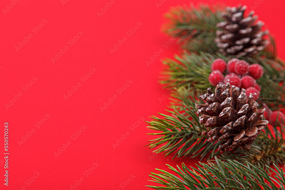 Christmas tree branches with cones on a red background