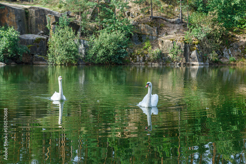 beautiful lake with a canyon on which swans swim with a blue sky