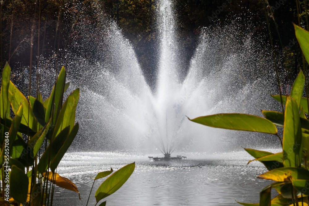 Bright sparkling fountain with lotus leaves on a pond in recreation area. Tourist attraction in central city park, Kharkiv Ukraine Bright sparkling fountain with lotus leaves on a pond in recreation area. Tourist attraction in central city park, Kharkiv Ukraine