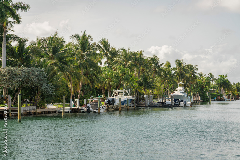 Three boats on a dock with coconut trees at shore of the Miami bay in Florida