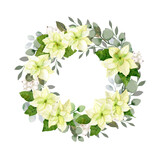 Watercolor christmas flowers wreath. White poinsettia, branches of spruce and winter greenery for greeting cards and invitations.