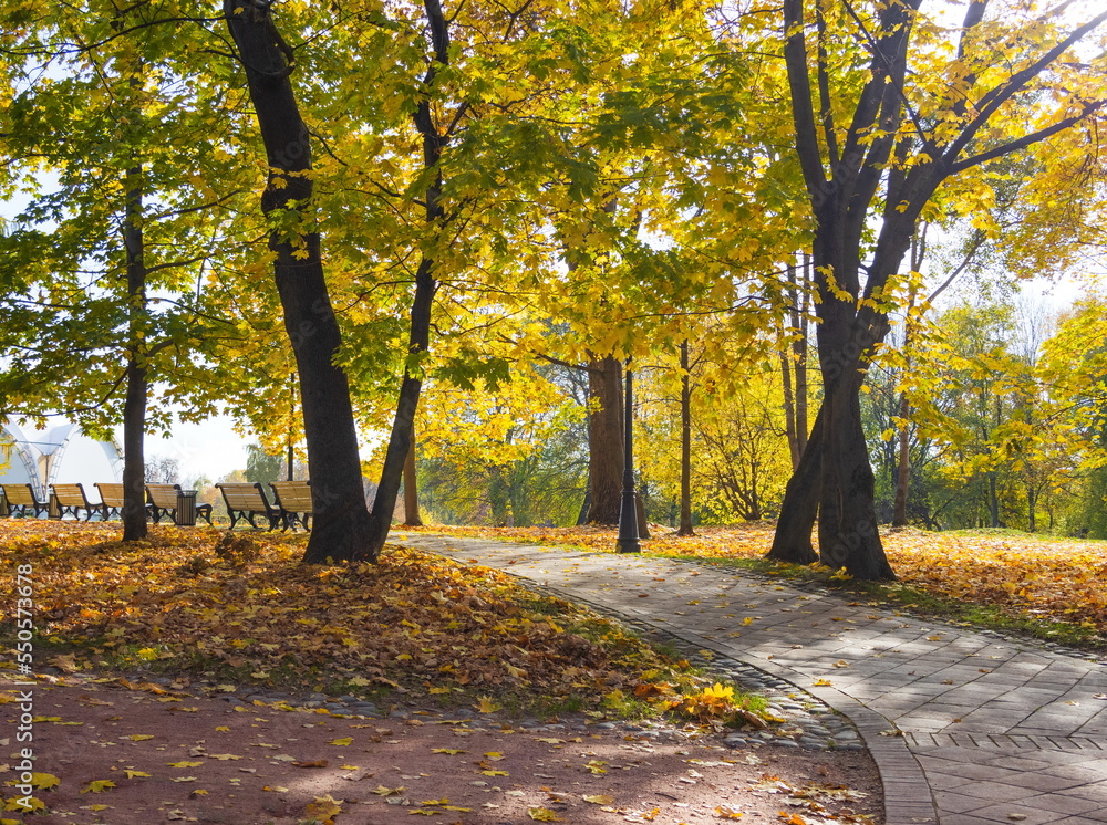 Autumn day in the park. Golden autumn.