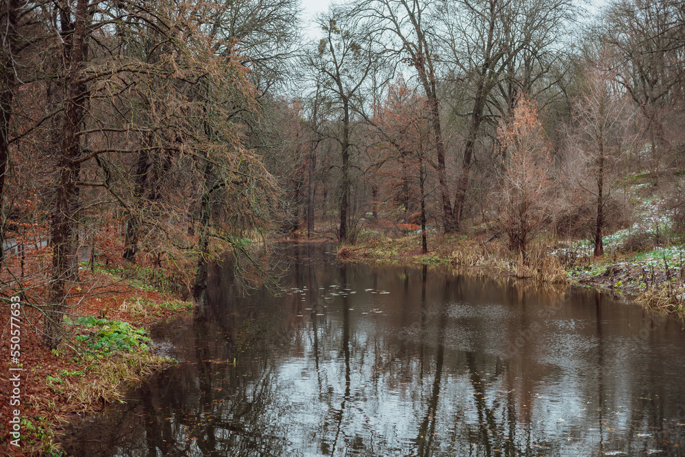 Fototapeta premium part of autumn natural landscape with a view of space; autumn forest lake