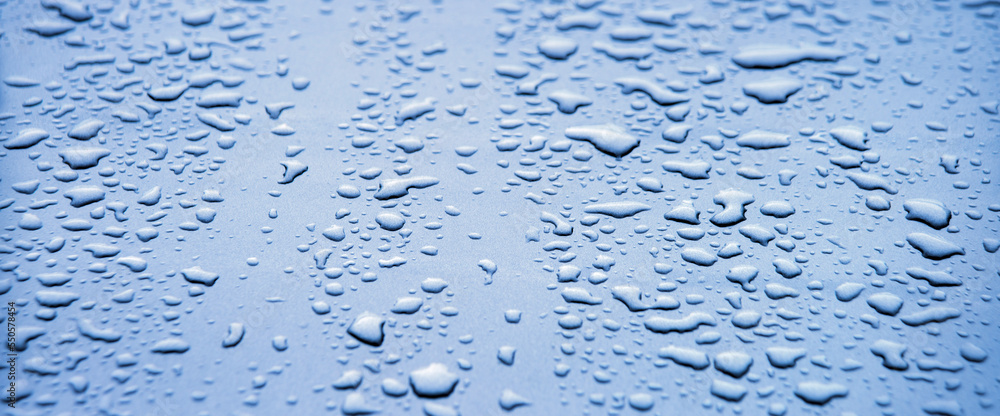 Raindrops on the hood of a car Raindrops on the hood of a car