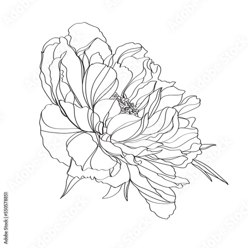 hand drawn sketch of flower