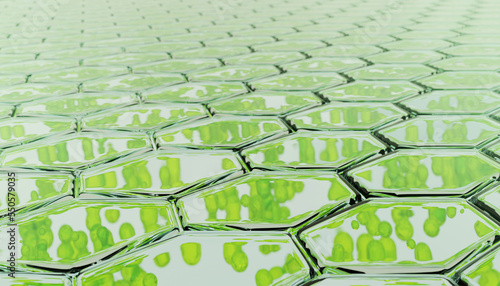close up macro Nano chlorophyll or chloroplast biotech concept 3d illustration render green background. chlorophyll, chloroplast  photo