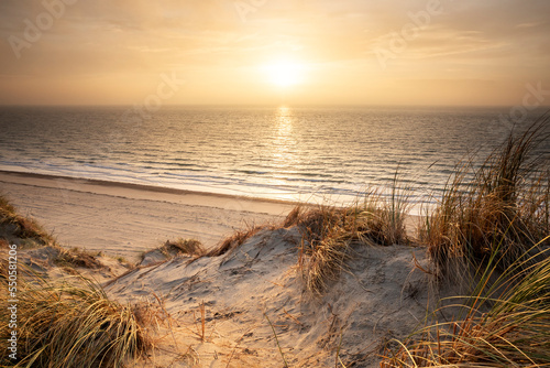 sunset beach view from dune