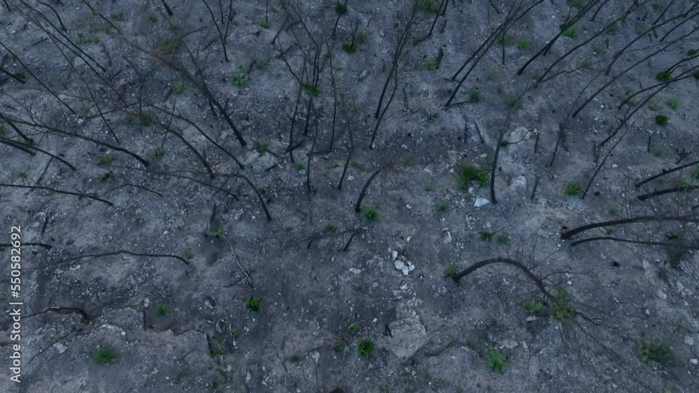 Overhead View Of A Rolling Stone Downhill In Burned Forest Near El Pont de Vilomara, Spain. Aerial Shot Overhead View Of A Rolling Stone Downhill In Burned Forest Near El Pont de Vilomara, Spain. Aerial Shot