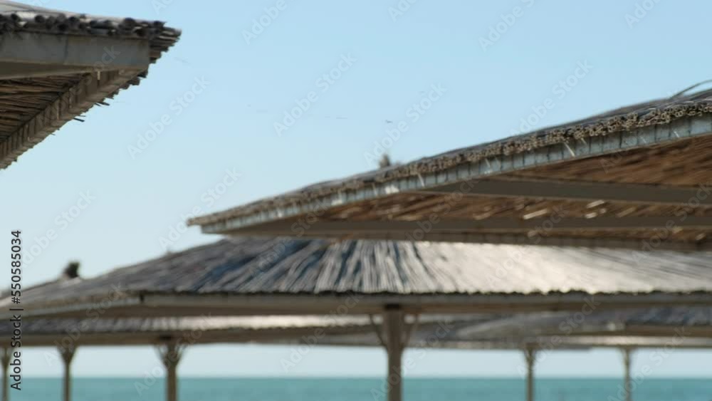 Sunshade umbrellas roofs made of coconut leaves stand on beach against blue ocean and sky horizon. Resort facilities for tourists vacation closeup Sunshade umbrellas roofs made of coconut leaves stand on beach against blue ocean and sky horizon. Resort facilities for tourists vacation closeup