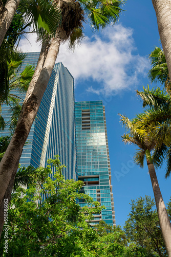 Views of modern multi-storey glass buildings behind the trees from below at Miami, Florida