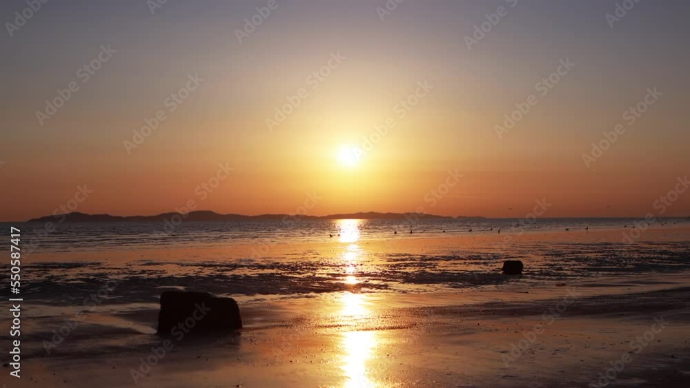 Beautiful twilight with the red sun setting on the seashore, seagulls flying over the seashore, and year-end sunset scenery
Beautiful twilight with the red sun setting on the seashore, seagulls flying over the seashore, and year-end sunset scenery