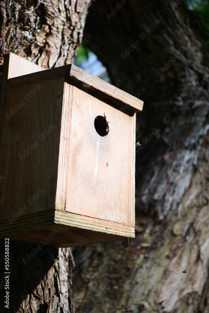  a bee hotel, Insect hotel on the tree 