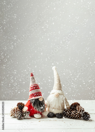 New Year's gnomes with a gift