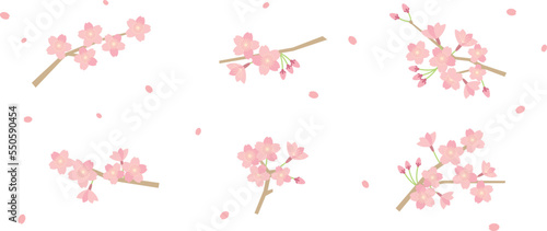 桜のカットイラスト素材セット　春・花・飾り・あしらい・かわいい