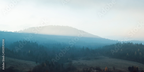 A view of the forest and mountains in the Ukrainian Carpathians.