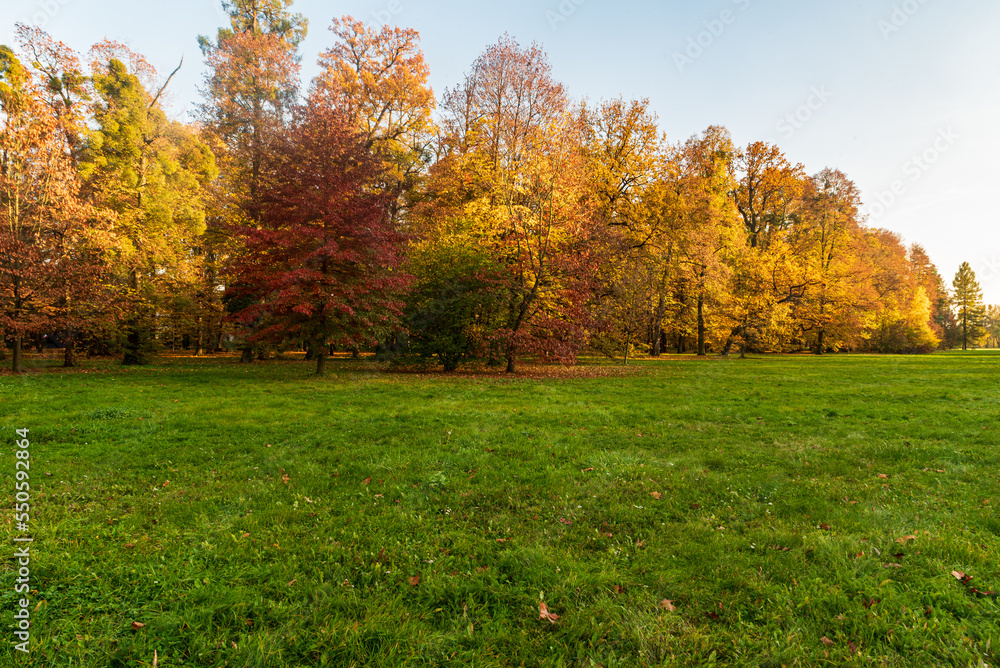 Autumn public park with meadow, colorful trees and clear sky
