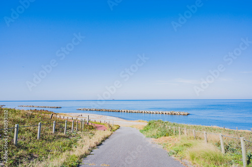 Fototapeta Naklejka Na Ścianę i Meble -  新潟　はまなすの丘から見た日本海