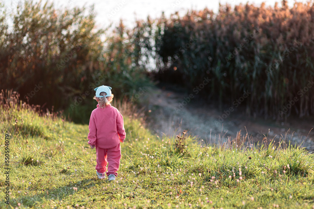 A little girl in a pink suit, against the background of grass and sunset. A little girl in a pink suit, against the background of grass and sunset.