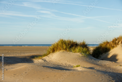 Fototapeta Naklejka Na Ścianę i Meble -  Sandy beach with solitary dunes overgrown with marram grass at IJmuiden in the Netherlands with in the background the North Sea and beautiful sky met veil overclouds and contrails